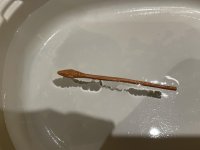 IMG_0955.JPG