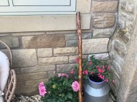 IMG_1388.jpeg