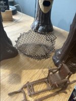 IMG_2349.jpeg