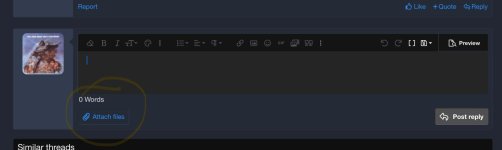 IMG_0244.jpeg IMG_0244.jpeg