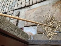 IMG_1439.jpeg