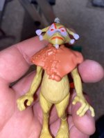 IMG_0882.jpeg