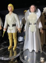 IMG_0100.jpeg
