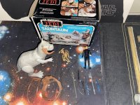 IMG_1181.jpeg
