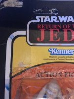 IMG_1445.jpeg