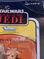 IMG_1446.jpeg