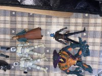 IMG_1617.jpeg
