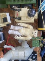IMG_1911.jpeg