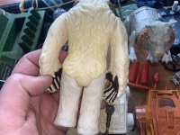 IMG_1915.jpeg