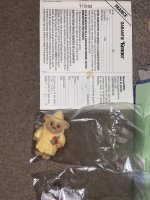 IMG_1929.jpeg