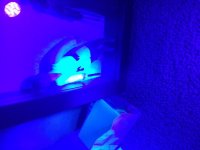 IMG_3268.JPG