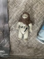 IMG_2143.jpeg