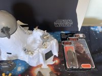 IMG_2320.jpeg