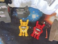 IMG_2322.jpeg