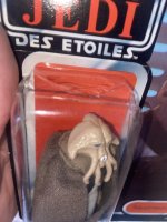 IMG_2332.jpeg