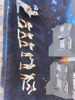 IMG_2335.jpeg