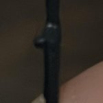 IMG_1208.jpeg