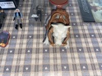 IMG_2559.jpeg