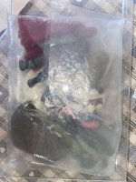 IMG_2596.jpeg