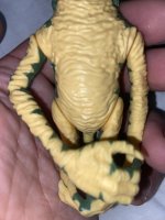 IMG_2660.jpeg