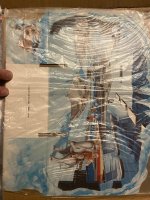IMG_2726.jpeg
