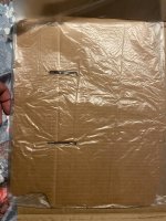IMG_2727.jpeg