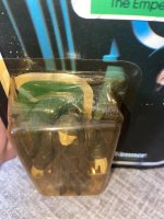 IMG_2795.jpeg