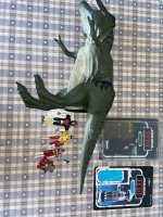 IMG_2800.jpeg