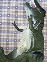 IMG_2802.jpeg