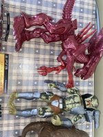 IMG_2812.jpeg
