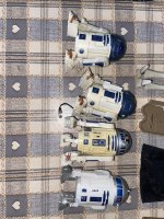 IMG_3175.jpeg