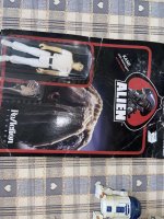 IMG_3178.jpeg
