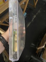 IMG_4016.jpeg