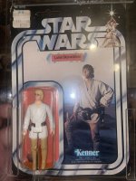 IMG_4384.jpeg