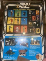 IMG_4385.jpeg
