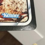 IMG_2199.jpeg