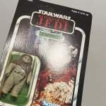 IMG_2202.jpeg