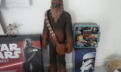 20170507_100830.jpg
