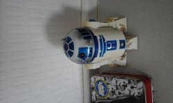 20170611_094108.jpg