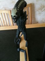 IMG-20170612-WA0000.jpg