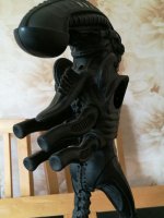IMG-20170612-WA0004.jpg