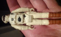 20170731_220931.jpg