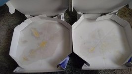 IMG_20170919_152710.jpg