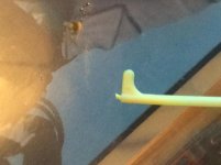 IMG_3519.JPG