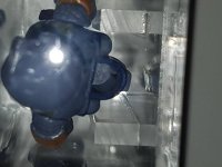 20160916_221516.jpg