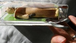20180311_152437.jpg