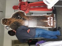 IMG_7200.JPG