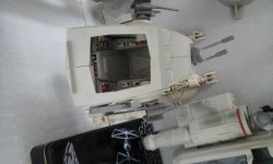 20180624_101250.jpg