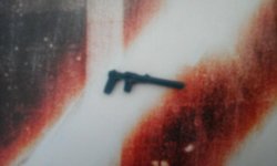 20180805_110338.jpg