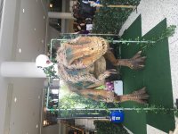 image1.jpeg